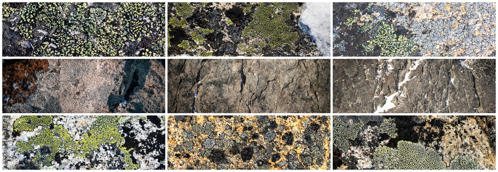 Wall mural set of texture of stones covered with lichen. lichen patterns on a rock surface. collection of panor