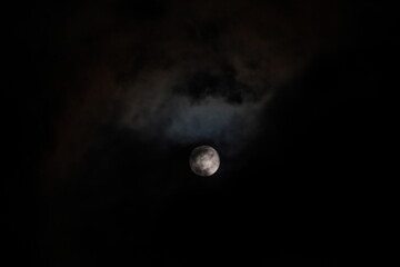 full moon in the night sky - obrazy, fototapety, plakaty