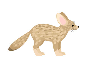 Cute little fox. Cartoon fennec fox, beautiful foxy animal of desert, vector illustration of furry exotic predator isolated on white background