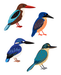 Small colored birds. Cartoon bright flying characters of ornithology, beautiful humming animals of sky, vector illustration set of kingfisher isolated on white background