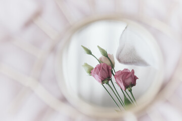 Beautiful kitty smelling eustoma flower reflection in mirror on soft fabric. Mental health and soul