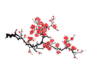 Branch sakura blossom - Japanese cherry tree. Artistic branch plum blossom. Vector
