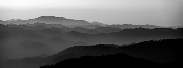 Moody forest mountains landscape background panorama banner with fog and mist in the Black Forest