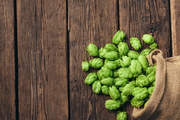 Beer brewing ingredients, hop cones, on a wooden cracked old table. Beer brewery concept. Hop cones...