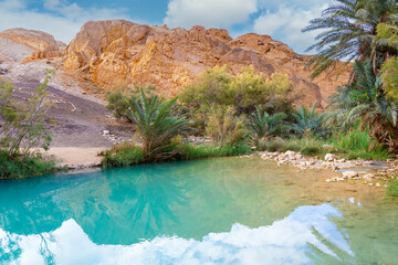 Turquoise lake among the rocks in oasis of Chebika near Nefta at Sahara desert, Tunisia - obrazy, fototapety, plakaty