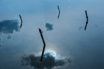 abstraction from pegs in water and sky in reflection in early spring, graphically
