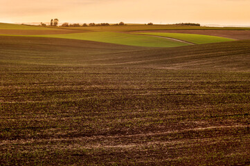 waves of plowed land with evening sky