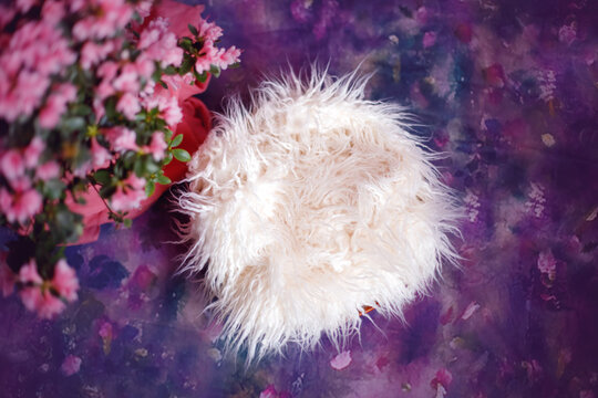 Floral newborn digital background on violet. Composite for baby photography.