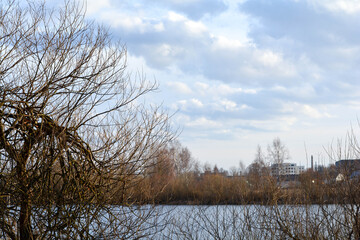 Pond behind the bushes