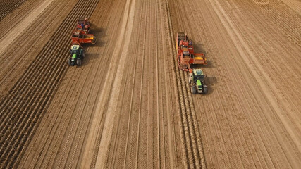 Obraz premium Farm machinery harvesting potatoes. Farmer field with a potato crop.