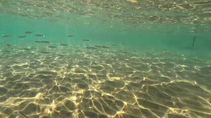 Underwater sandy sea bed in tropical exotic turquoise bay