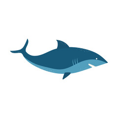 shark on a white background