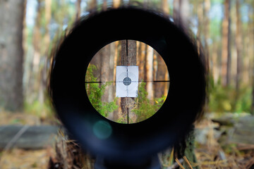 Sniper gun scope view, target