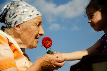 Grandmother sniffs a flower in children's hands. A child gives flowers to an old grandmother. Happy...