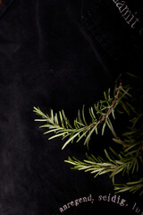 Rosmarin Gew&uuml;rz auf dunklem Hintergrund