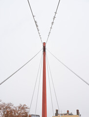 Obraz premium oiseaux sur câbles de la passerelle du Palais de Justice, Lyon, France