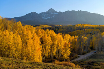 Wilson Peak - An Autumn sunset view of Wilson Peak surrounded by golden aspen forest. Telluride, Colorado, USA.