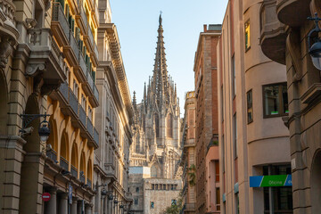 Fototapeta na wymiar Picture of the Barcelona Cathedral captured in a sunny day.