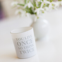 Fr&uuml;hling G&auml;nsebl&uuml;mchen Fr&uuml;hbl&uuml;her Spring Spruch