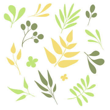 Different hand drawn tree leaves set. Hand sketched flat elements ( olives, fern, branches, feathers, tropical leaves ). Perfect for invitations, greeting cards, quotes, blogs, posters