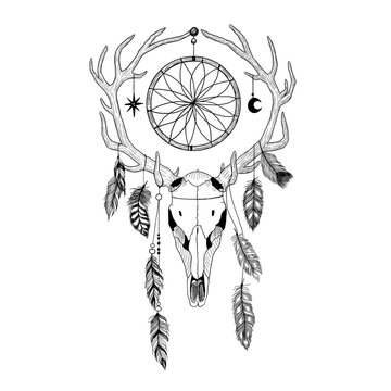 Bull's skull with deer antlers, feathers and dreamcatcher.