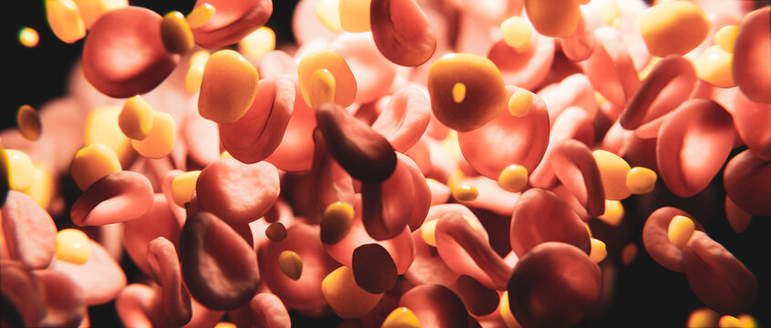 Blut und Cholesterin - rote Blutplättchen oder Blutkörperchen in Ader