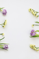 Spring flowers frame. White background, copy space.