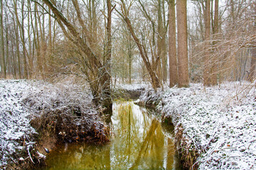 Fototapeta na wymiar river in the forest in winter
