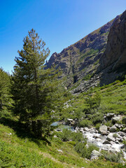 Fototapeta na wymiar River landscape in the mountains of Corsica France