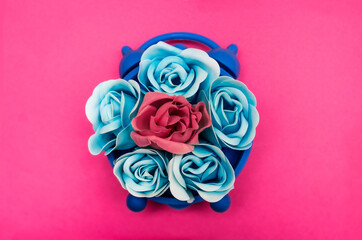 Blue and pink rose flowers in a blue clock on a pink background