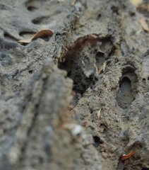Piedra caliza