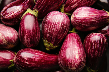 Heap of fresh eggplants, closeup