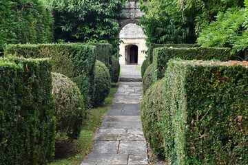Fototapeta na wymiar stone path in the garden