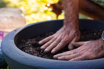 Closeup of man's hand planting.
