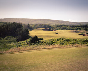 Fototapeta na wymiar fairway of a golf course 