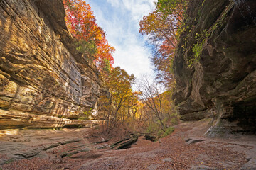Autumn Peeking Over the Edges of a Secluded Canyon