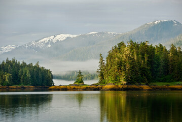 USA, Alaska, Inside Passage. View of foggy forest and mountains.
