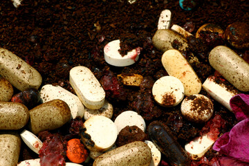Mix expired medicine with an unpalatable substance such as used coffee ground and dirt