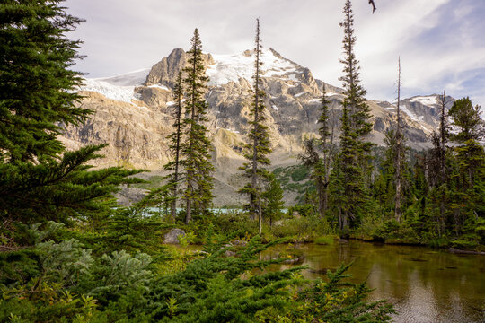 Mesmerizing Scenery of Joffre Lake