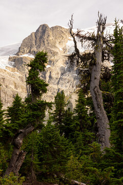Mesmerizing Scenery of Joffre Lake