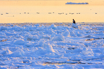 流氷　網走流氷観光砕氷船おーろら船上からの景色 © noriha
