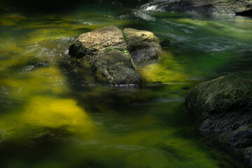 Fototapeta na wymiar Small water stream and rocks in Bambarawana, light passing through the water and hits the green mossy bottom and glow, long exposure water flowing photograph,