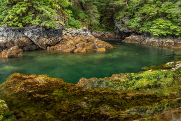 Fototapeta na wymiar USA, Alaska, Chichagof Island. Basket Creek scenic.