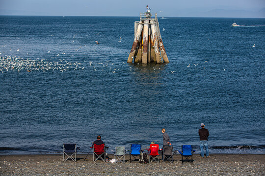 Homer, Alaska, Kachemak Bay, USA.