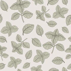 Basil seamless pattern herbs drawing