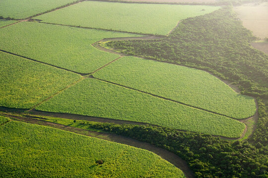 cultivos y llanuras en sobrevuelo en el departamento del Meta _ Colombia, entre Villavicencio y Puerto Gait&aacute;n, superficies de cultivos y ganader&iacute;a de la regi&oacute;n 
