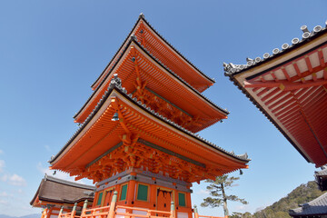 Obraz premium 清水寺 三重塔 京都市