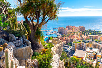 View from the hillside exotic gardens of the Mediterranean sea and city of Monte Carlo, Monaco.