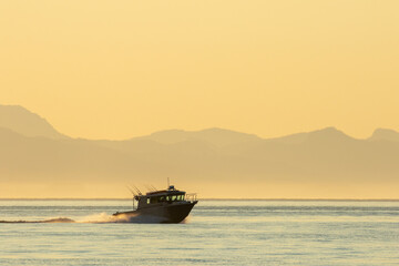 Obraz premium USA, Alaska, Petersburg, Sport fishing boat motors across calm water of Frederick Sound on summer evening.