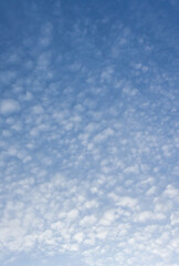 Bright evening blue sky with fluffy clouds. Use as a vertical background that feels clear and relaxed. 